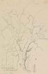 Auf der Newport Road, 12. Februar 1826