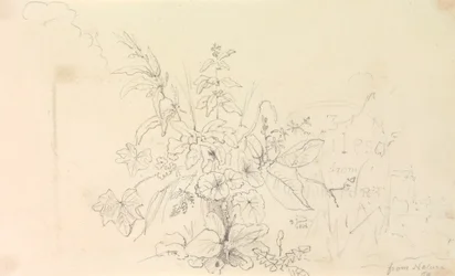 Skizze von Pflanzen und einem Meilenstein aus der Natur, 3. Juni 1826