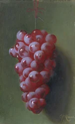 Stillleben mit Trauben