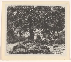 Garten mit großem Baum