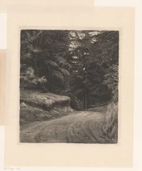 Waldweg