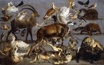 Studien eines Rothirsches, eines Steinbocks, eines Wildschweins, drei Wölfen, zwei Bibern, zwei Hasen, eines Fuchses, vier Hausenten, zwei Großtrappen, drei Schleiereulen, einer Turteltaube, eines Kiebitzes, eines Tannenhähers, eines Seidenschwanzes, einer