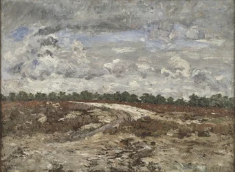 Wilde Landschaft im Wald von Fontainebleau