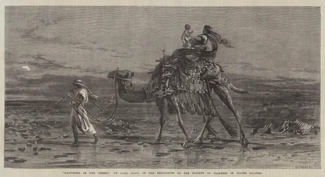 Glück in der Wüste