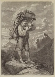 Der Tiroler Träger