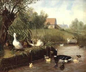 Enten am Flussufer