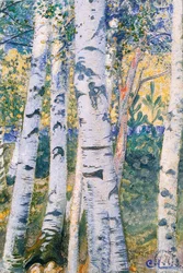 Birken, 1910