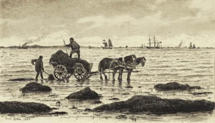 Bauern fahren Tang