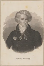 Georges Cuvier (1769 Montbéliard - 1832 Paris) - französischer Zoologe, Begründer der Paläontologie