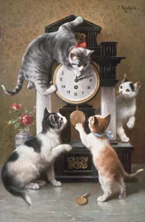 Katzenpostkarte