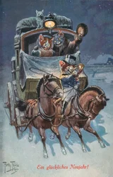 Humorvolle Katzenpostkarte