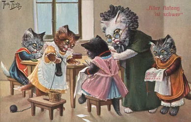 Humorvolle Katzenpostkarte