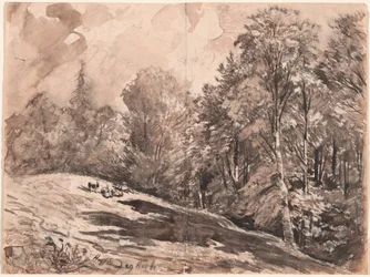 Eine Wiese mit einem Hirten und Ziegen am Waldrand