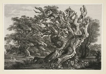Landschaft