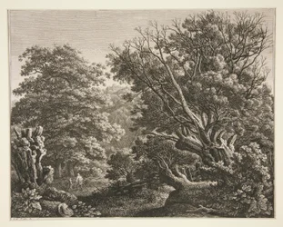Landschaft mit knorrigem Baum