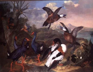 Vögel in einer Landschaft