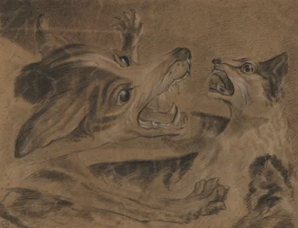 Kämpfende Tiere