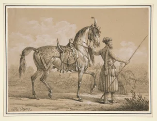 Mameluck und Arabisches Pferd