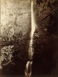 Multnomah Falls Cascade, Columbia River, 1867