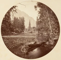 [Yosemite-Nationalpark, Kalifornien]