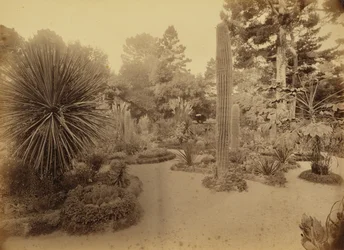 Monterey, Kalifornien. Arizona-Garten, Hotel Del Monte.