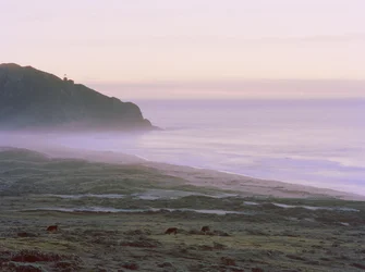 Big Sur, 2014