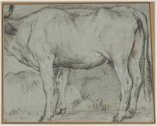 Stehende Kuh (Kopf fehlt)