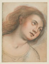 Studie für weiblichen Kopf (verso); Kopf Christi (recto)