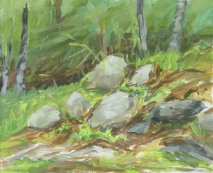 Grüne Waldfelsen