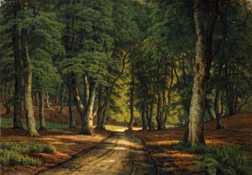 Eine bewaldete Landschaft mit Hirschen