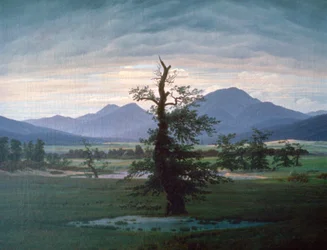 Der einsame Baum, 1823