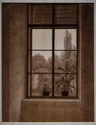 Fenster mit Blick auf einen Park