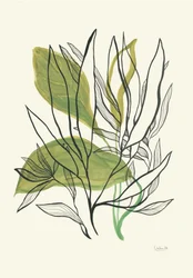 Moderne botanische Blätter