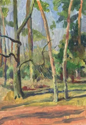Sonniger Waldpfad