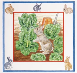 Ein Kaninchen im Kohlbeet