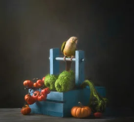 Herbstpapagei Stillleben