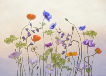 Ätherische Gartenblüten
