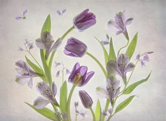 Weiche Lila Blumen