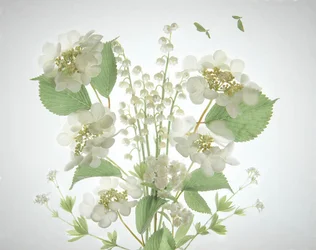 Weiße Liliental Bouquet