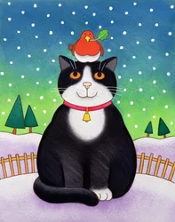 Katze mit Rotkehlchen