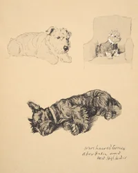 Drahthaar-Terrier, Aberdeen und West Highlander, 1930, Illustrationen aus seinem Skizzenbuch verwendet für Just Among Friends, Aldin, Cecil Charles Windsor (1870-1935), später veröffentlicht von Eyre und Spottiswoode Limited