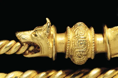 Hochbedeutende La-Tène-Kriegerfibel, Detail