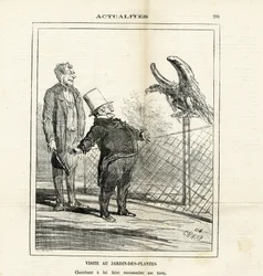 Illustration von Cham (1819-1879) in The Charivari