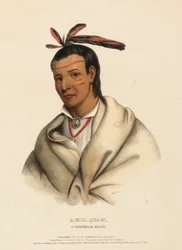 A-MIS-QUAM, EIN WINNEBAGO TAPFERER, aus History of Indian Tribes of North America