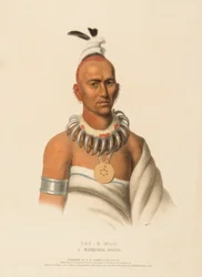 Tai-o-mah. Ein Musquakee-Krieger, aus Geschichte der Indianerstämme Nordamerikas
