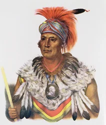 Wapella oder der Prinzenhäuptling der Füchse, 1837, Illustration aus 