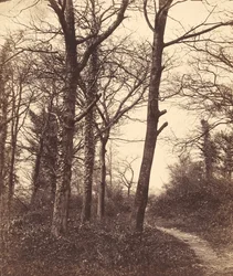 Winter, 1855