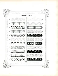 Feine dekorative Rahmen und Zierstreifen