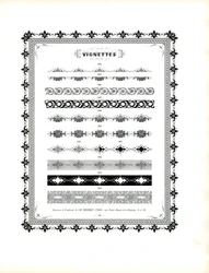 Florale dekorative Bänder und ornamentale Rahmen