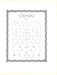Musterkatalog für kalligraphische Federverzierungen - Erste Serie